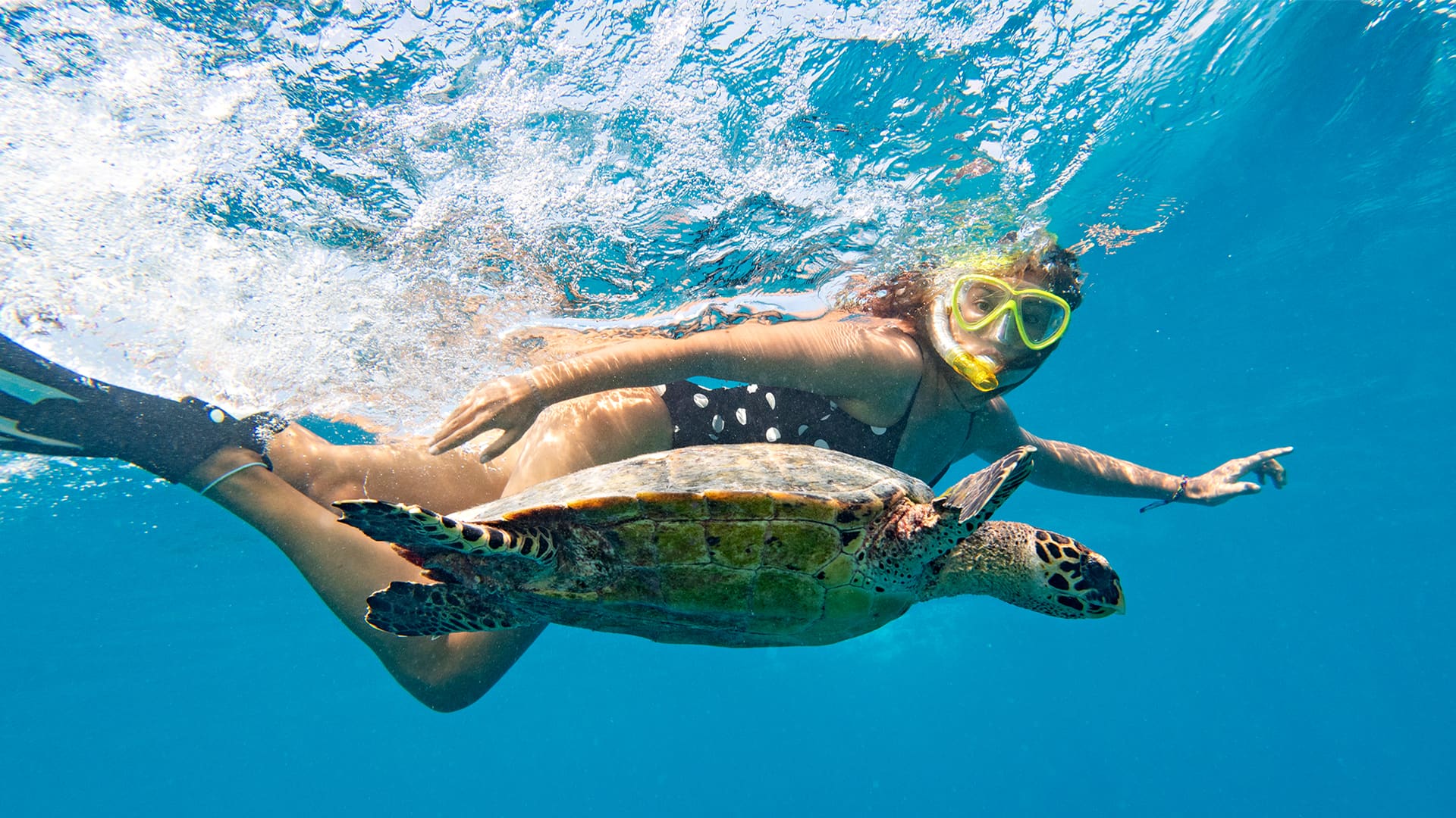 Turtle Cove Catamaran Sail & Snorkel